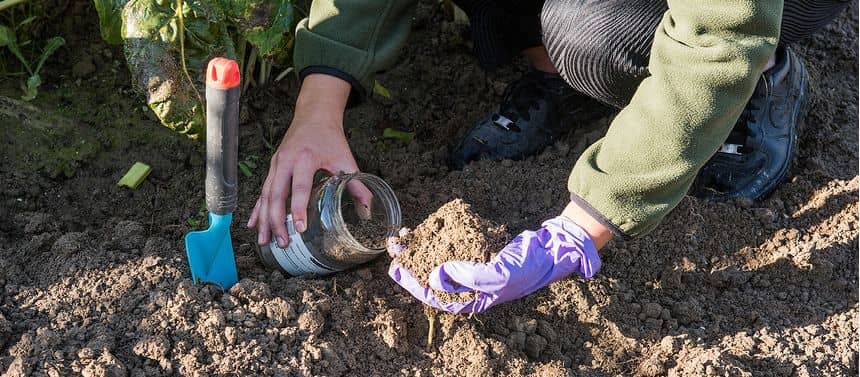  Persoon die een grondmonster uit de tuin verzamelt