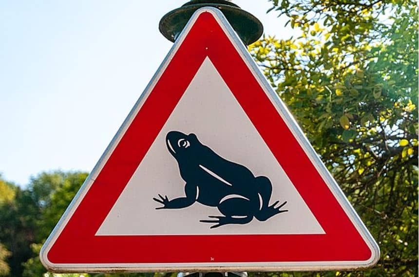 Panneau routier "Attention ! Migration des batraciens"