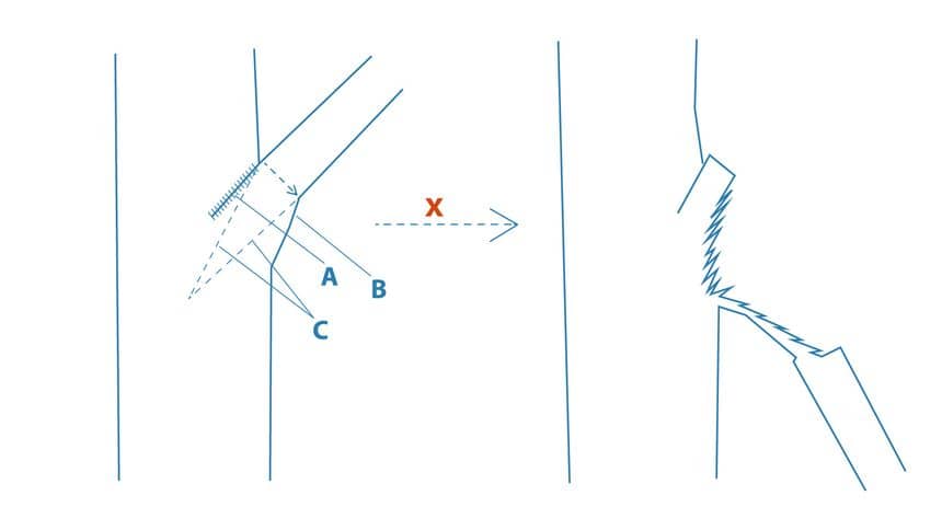 Dessin montrant les risques de déchirures d’une branche si la taille ne se fait pas en deux temps