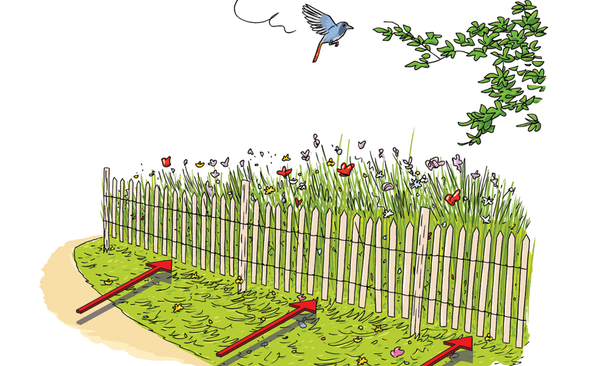 Schéma d’une clôture surélevée sur toute sa longueur de manière à aménager un passage pour la petite faune sur toute sa longueur