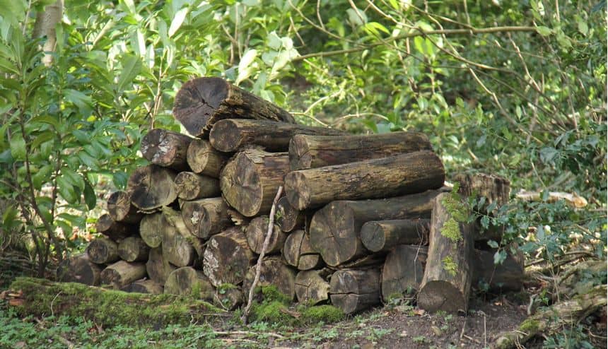 Foto van een stapel dood hout