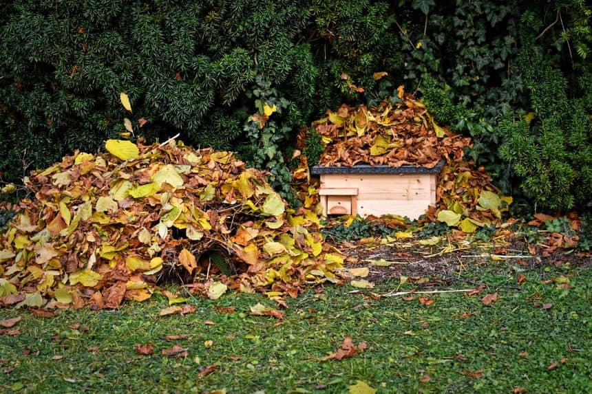 Photo de deux modèles d'abris à hérisson sous des gros tas de feuilles mortes.