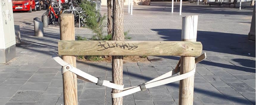 Photo d’un jeune arbre planté avec ses tuteurs de soutien et dont la surface au sol est herbeux