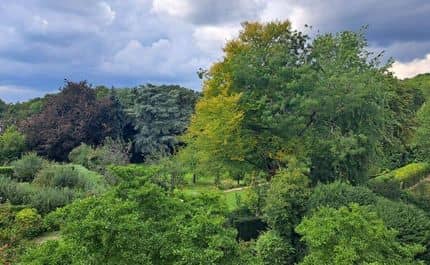 Photos de plusieurs arbres de différentes espèces se trouvant dans différents types de propriétés comme un parc public et un jardin privé