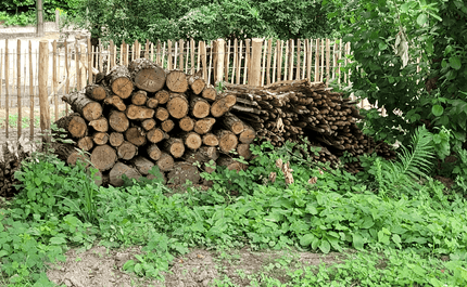 Foto van een hoop ingeboorde houtblokken in het Reigerbospark