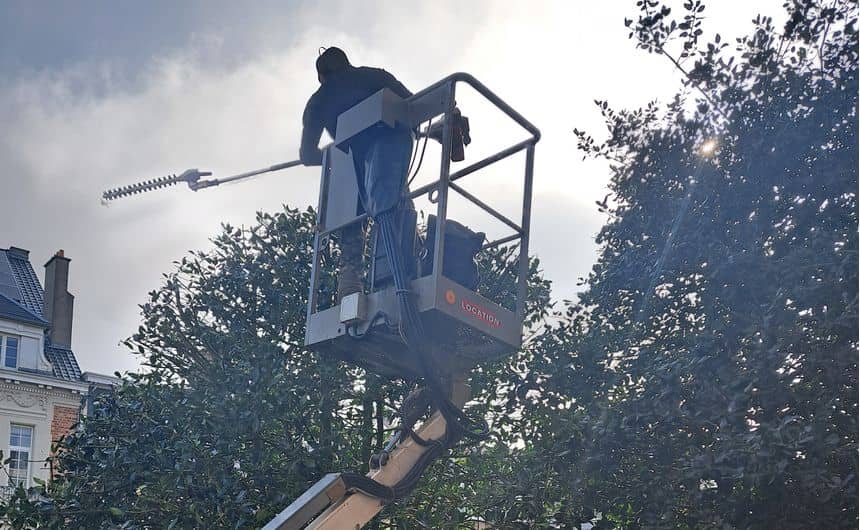 Photo d’un élagueur professionnel en haut d’une nacelle avec une élagueuse sur perche lui permettant de tailler l’arbre sous tous ses angles