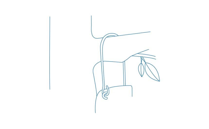 Schéma de la position d'un nichoir suspendu à un arbre par une anse