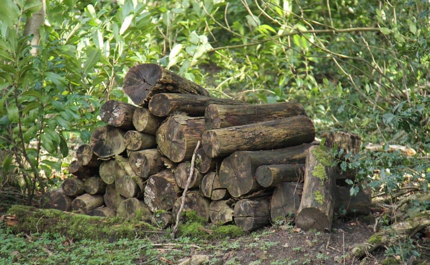 Een hoop op de grond gestapelde houtblokken 