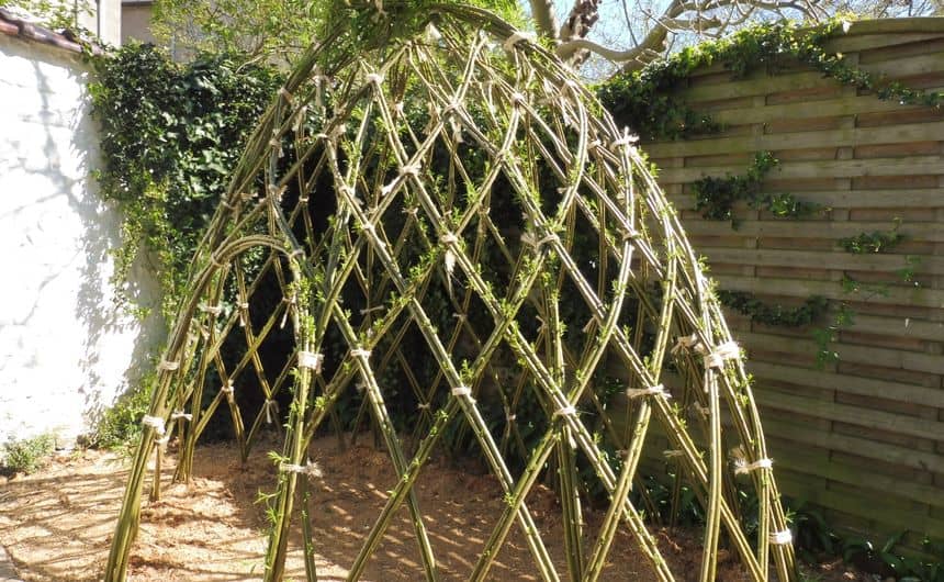 Photo d'une cabane en saule au mois de février, venant d'être plantée