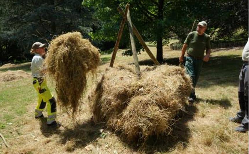 Foto van tuinmannen die hooi verzamelen tijdens het maaien van een grasveld om een ​​traditionele stapel te maken
