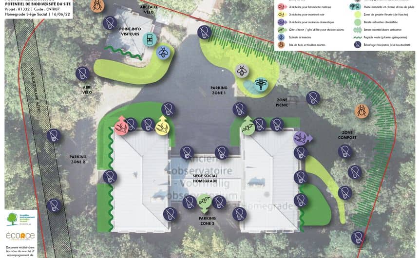 Plan des aménagements proposés pour le site du siège social de Homegrade. On peut voir sur le plan la localisation exacte des aménagements proposés comme l’endroit où placer les nichoirs, les façades le long desquelles planter des plantes grimpantes, où placer la mare et les prairies fleuries, etc.