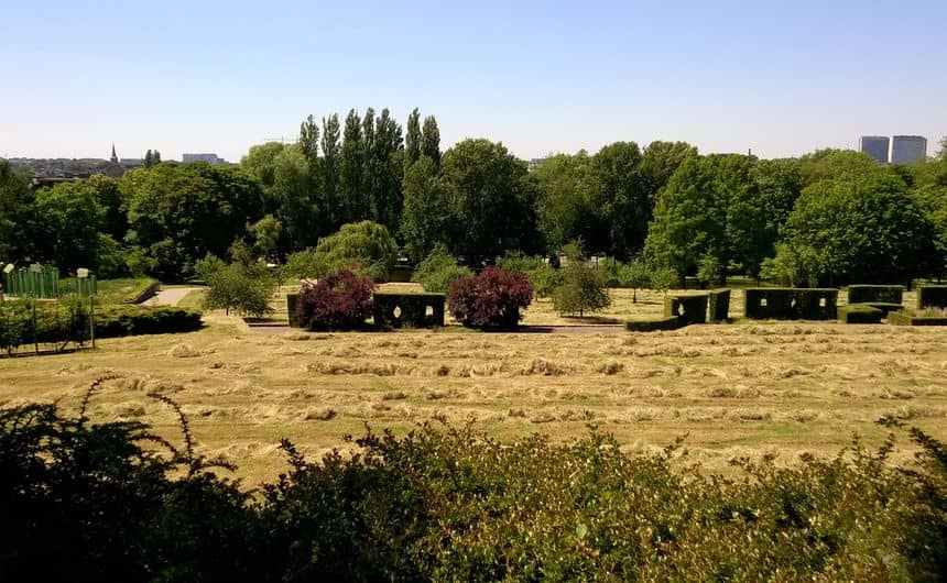 Foto van laat maaien in Sobieski Park. Het hooi ligt enkele dagen in een zwad voordat het wordt geëxporteerd.