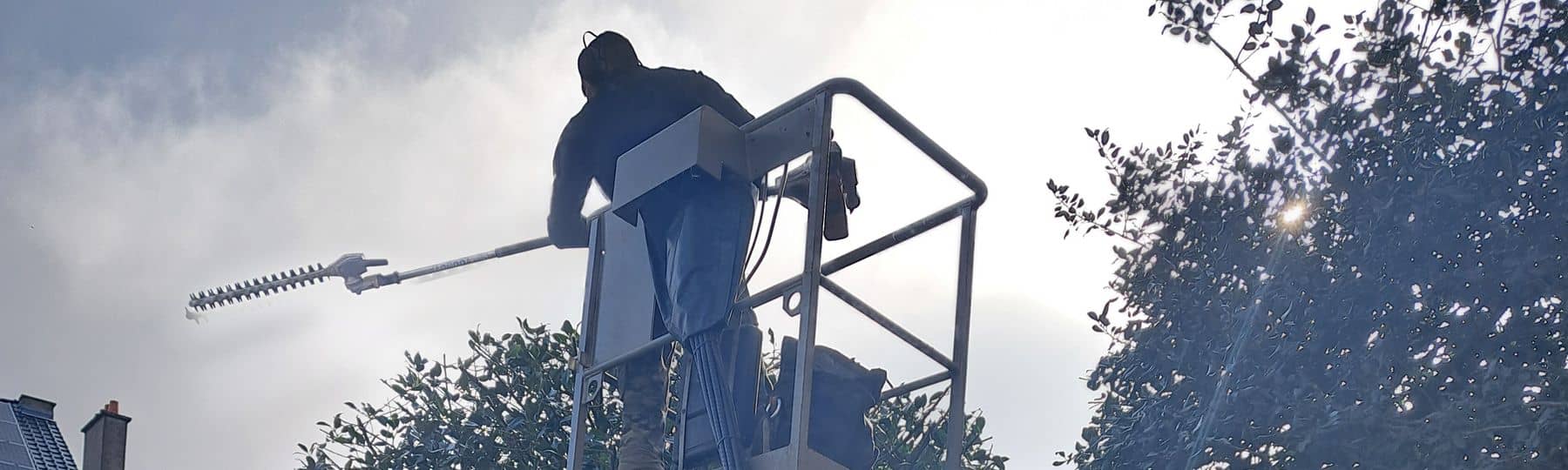 Photo d’un élagueur professionnel en haut d’une nacelle avec une élagueuse sur perche lui permettant de tailler l’arbre sous tous ses angles