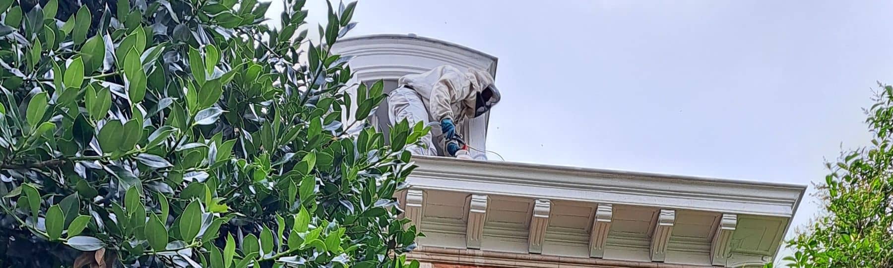 Désinsectiseur équipé des protections adéquates luttant contre un nid de guêpes sur un toit.