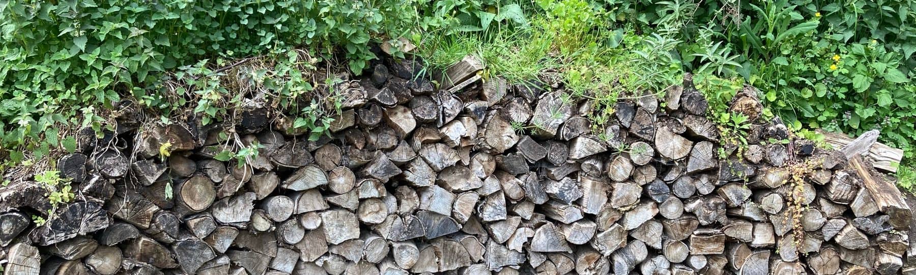 Foto van een  begroeid houtstapel