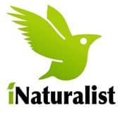 iNaturalist